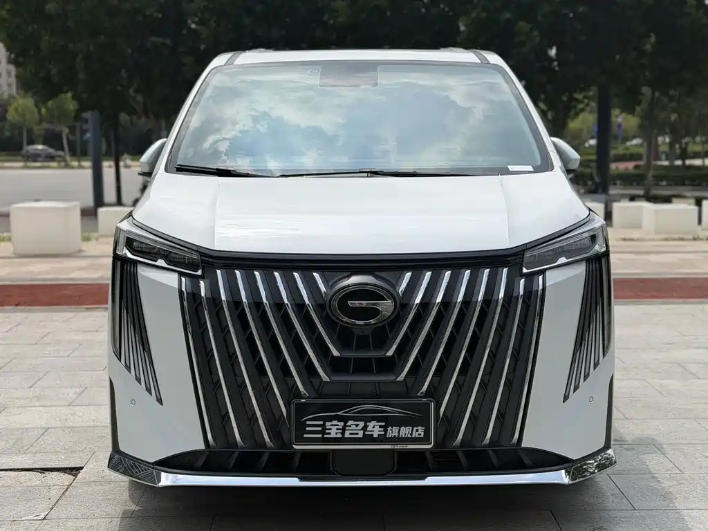 GAC Motor Trumpchi M8 — миниатюра 2