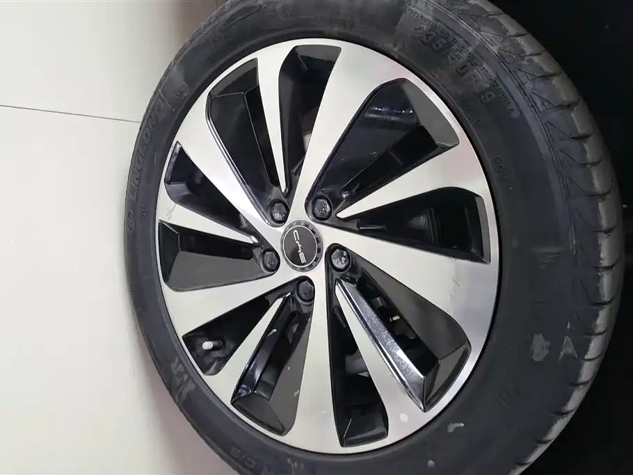 BYD SONGJIANG NEW ENERGY