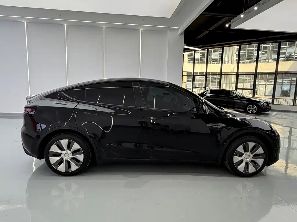 Tesla Model Y — миниатюра 12