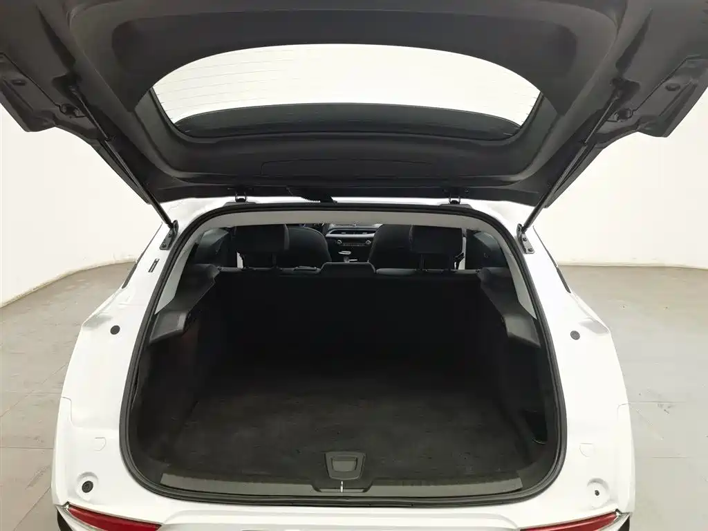 BUICK SLIGHTLY BLUE 6