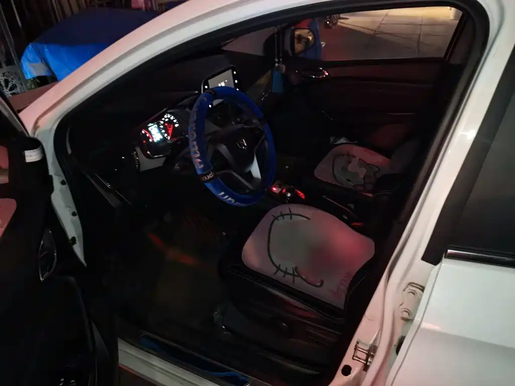 Baojun 310W — миниатюра 16