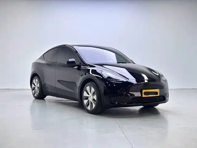 Tesla Model Y — миниатюра 3