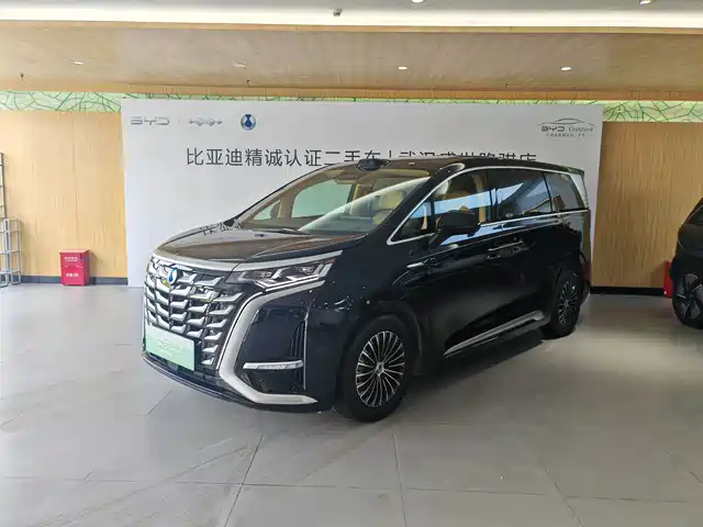 2025 Denza D9