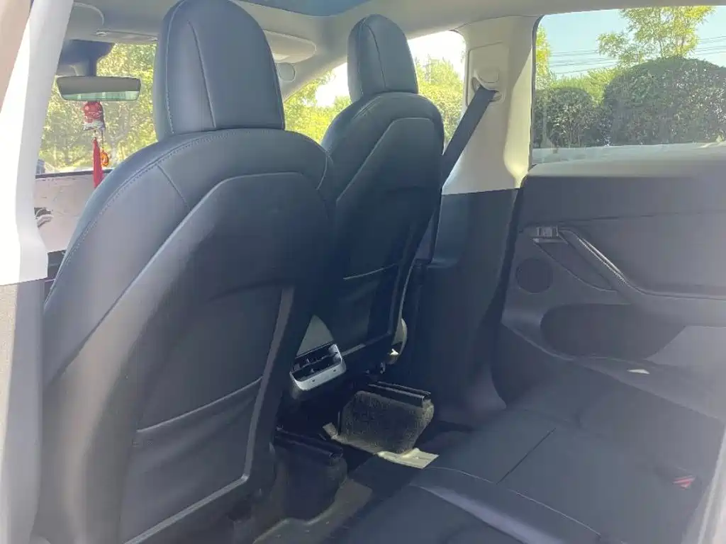 Tesla Model Y — миниатюра 6