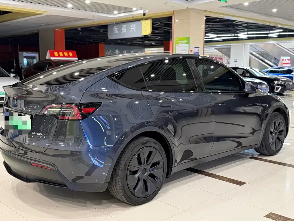 Tesla Model Y — миниатюра 7