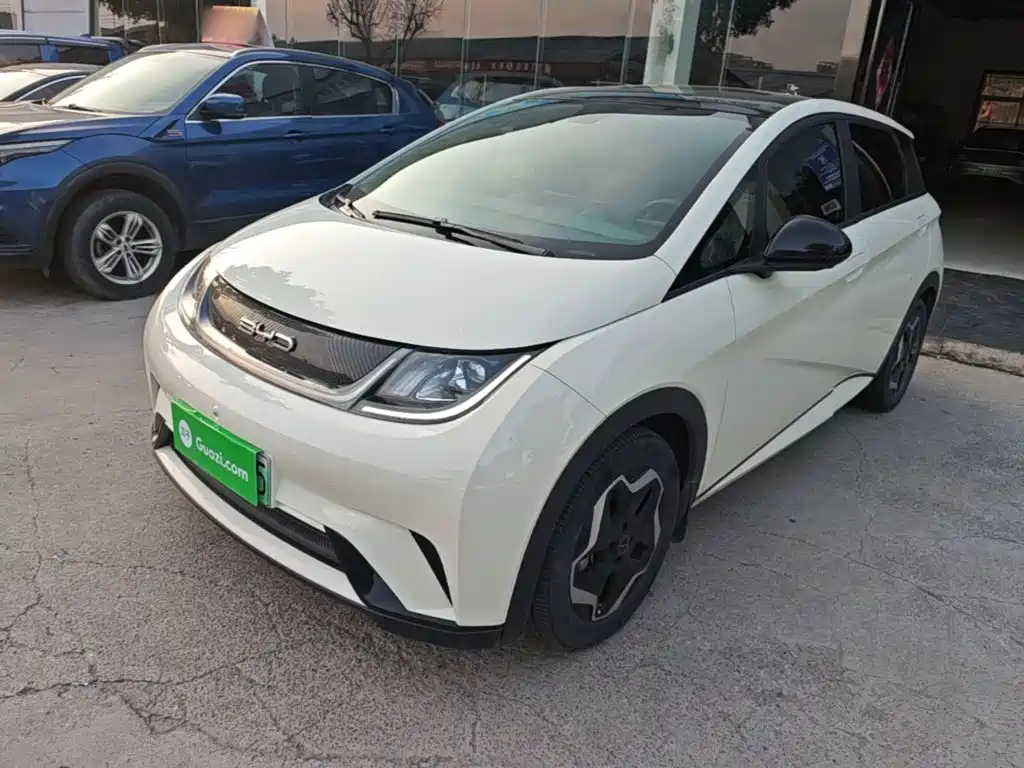 BYD Dolphin — миниатюра 2