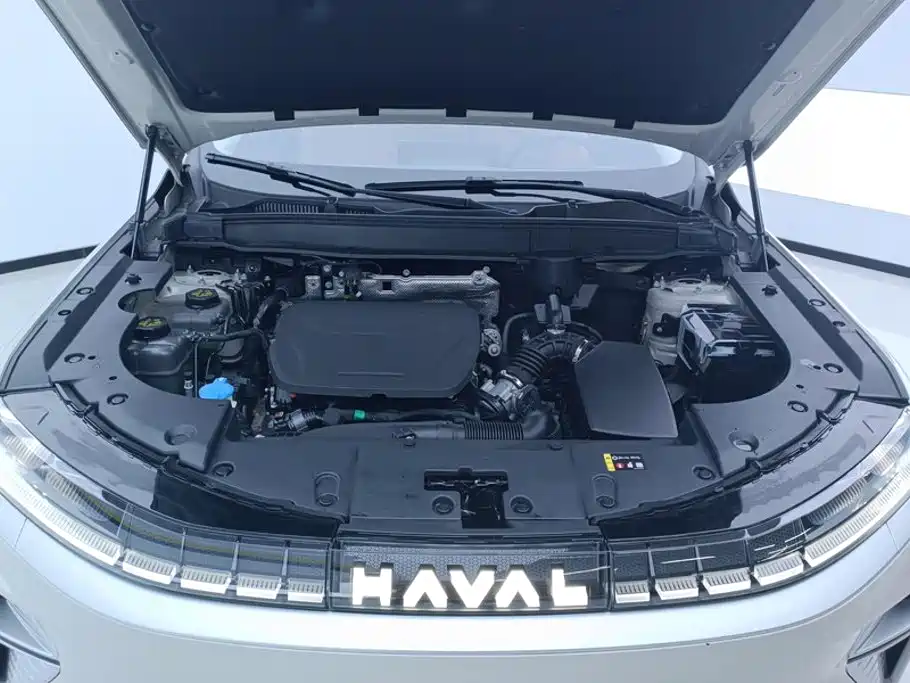 Haval Xiaolong MAX — миниатюра 10