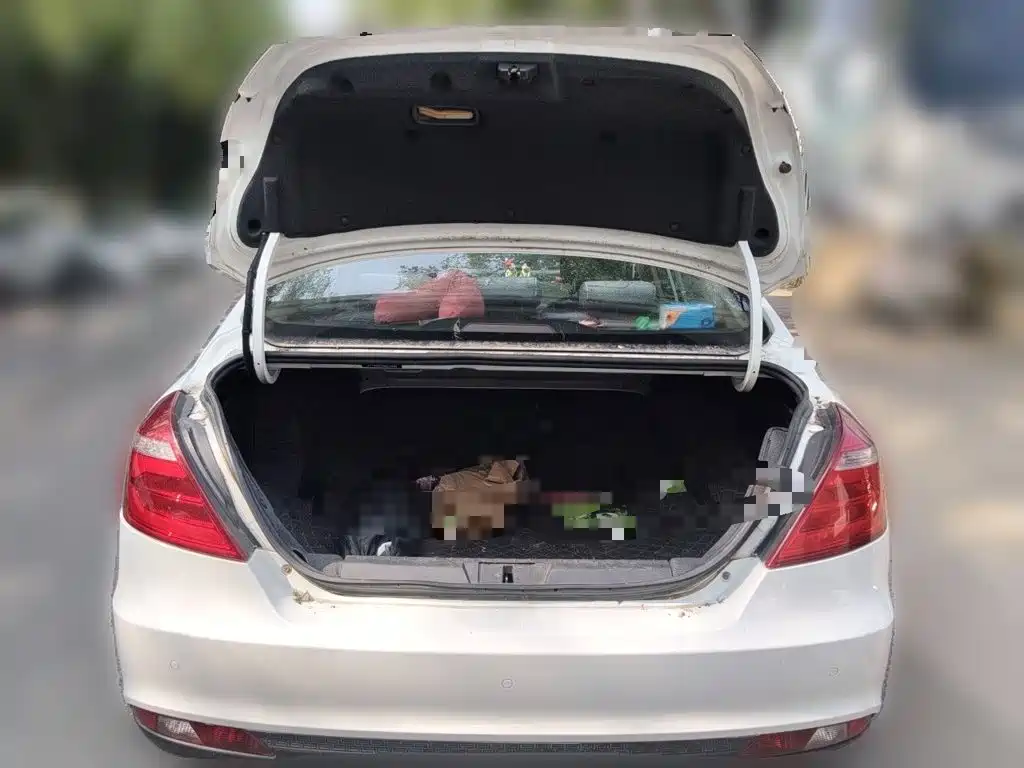 Geely Emgrand — миниатюра 20