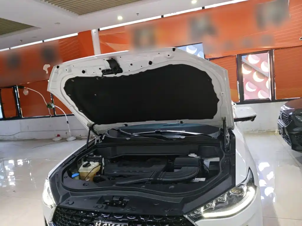 Haval F7x — миниатюра 20