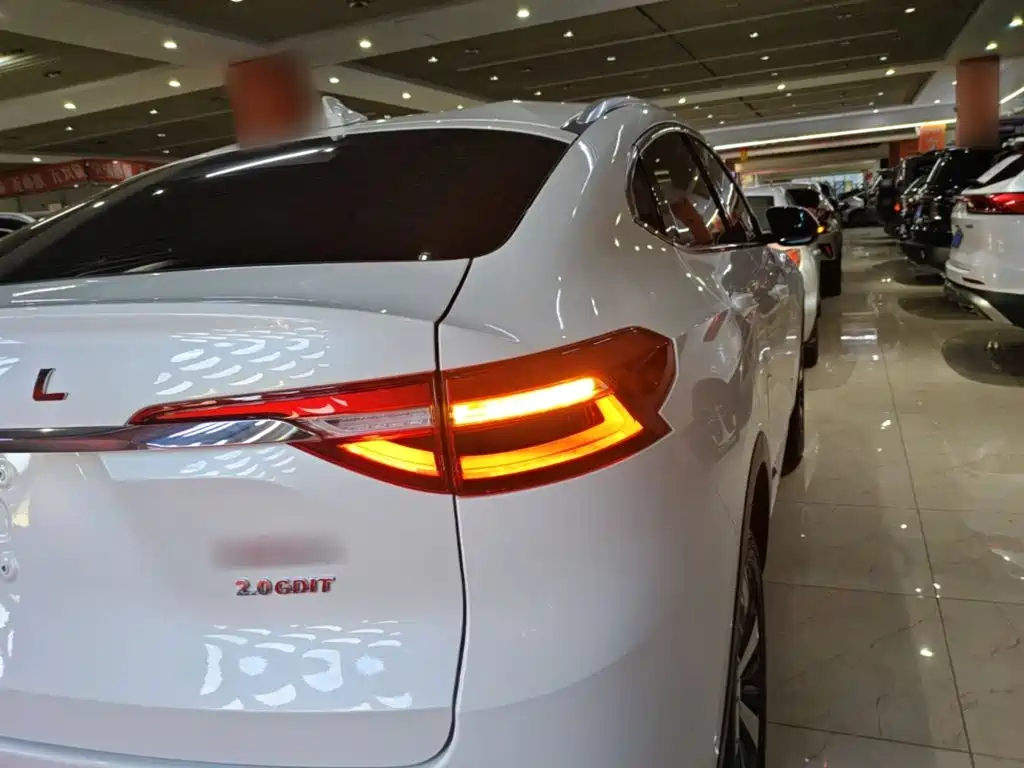 Haval F7x — миниатюра 8