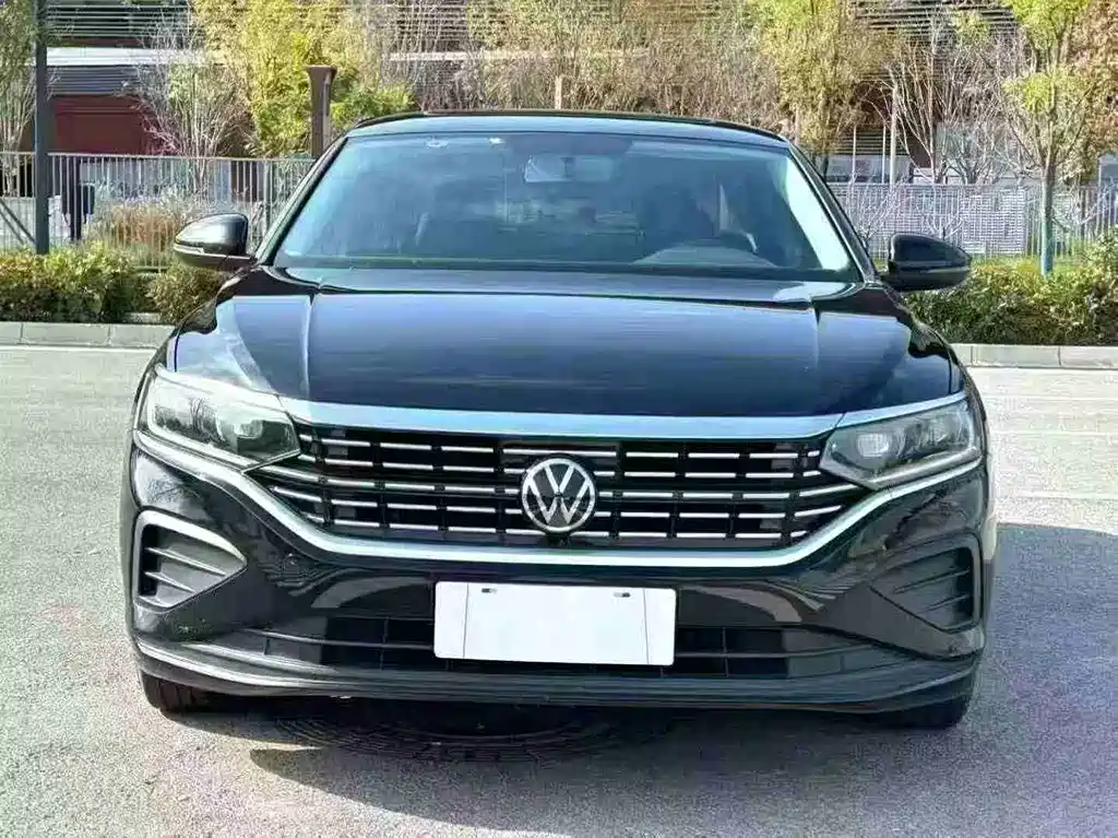 Volkswagen Passat — миниатюра 2