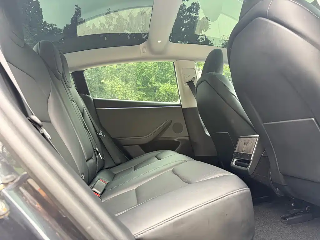 Tesla Model 3 — миниатюра 14