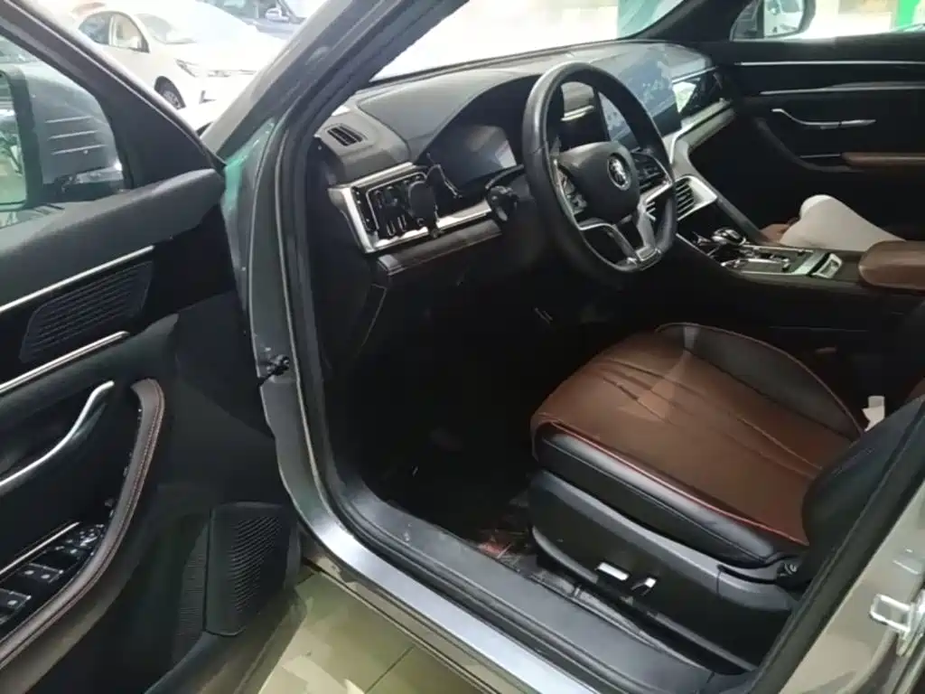 BYD PLUS — миниатюра 16