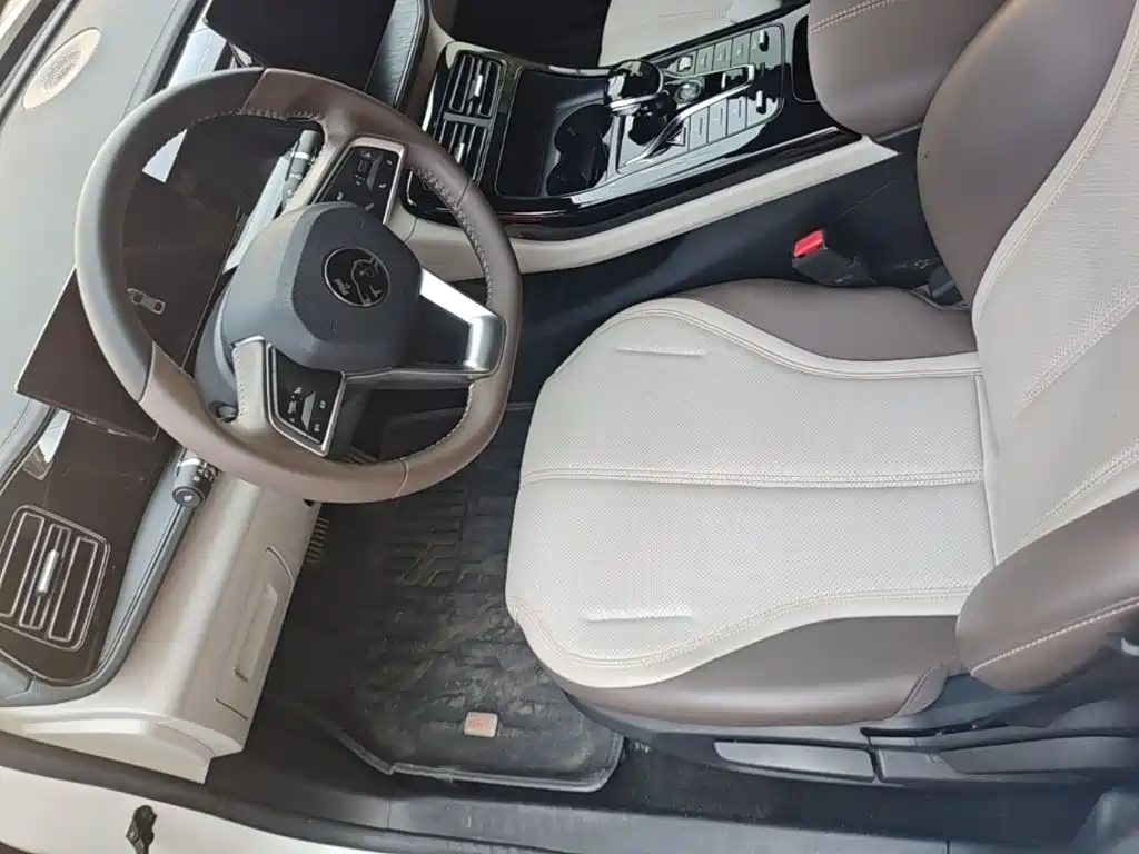 BYD Qin PLUS — миниатюра 16