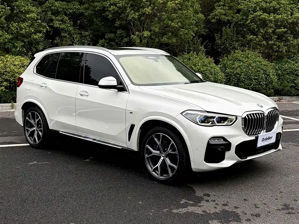 BMW X5 (Import) — миниатюра 4