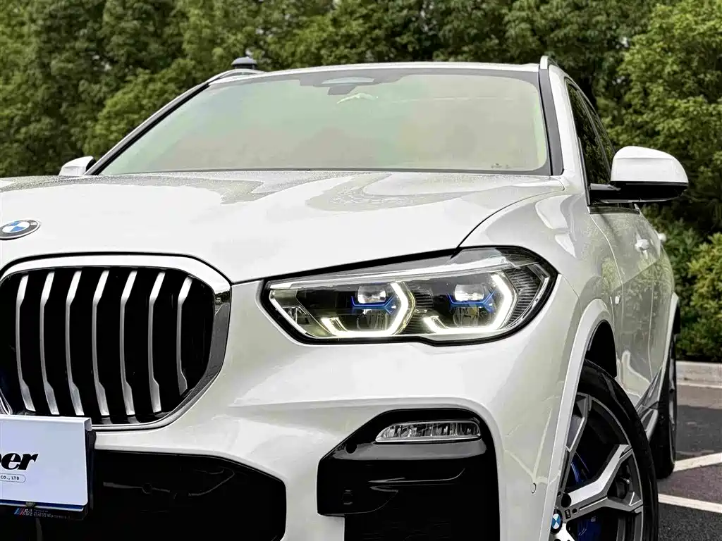BMW X5 (Import) — миниатюра 3