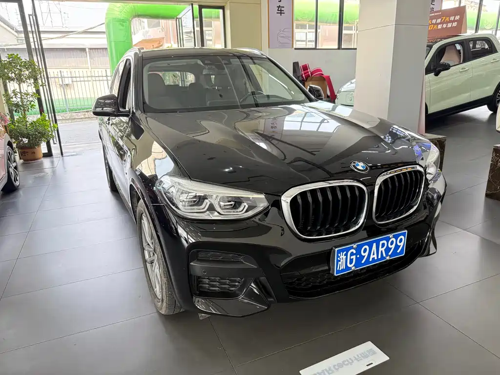 BMW X3 — миниатюра 3