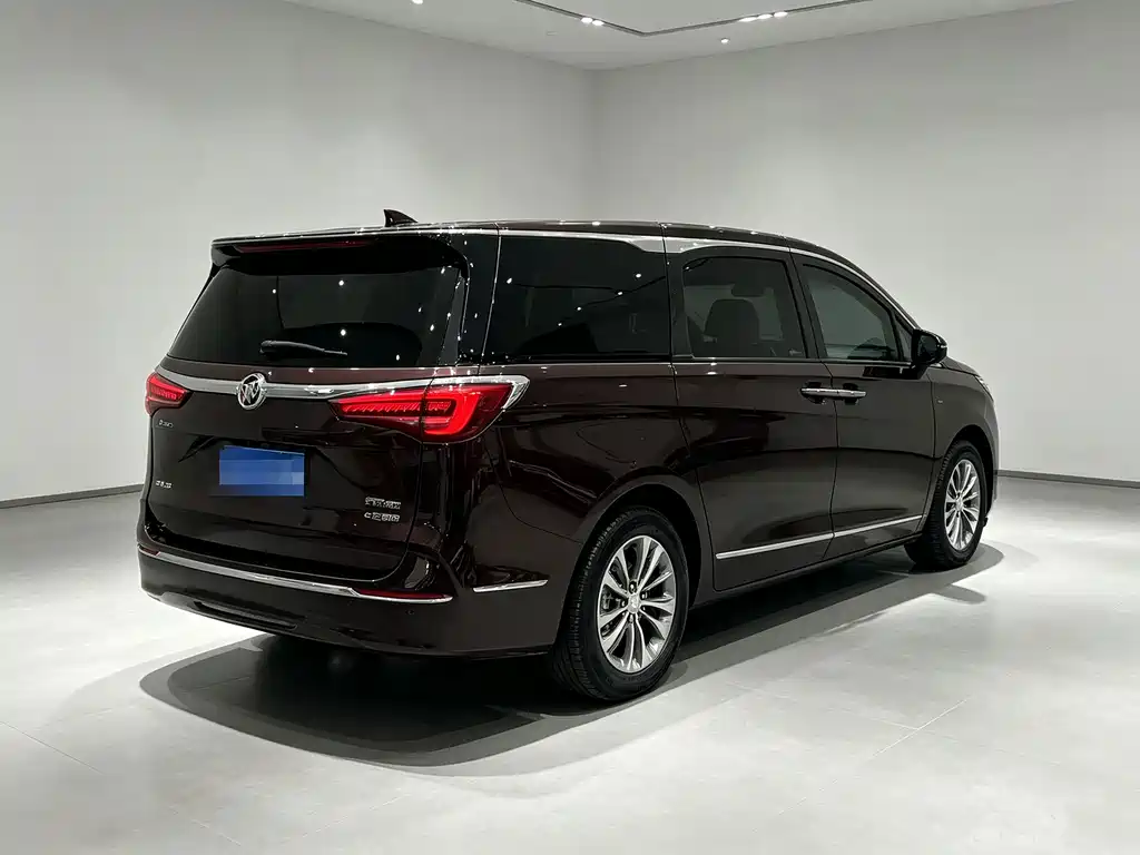 Buick GL8 — миниатюра 11