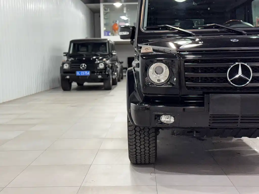 Mercedes-Benz G-Class G 2010 G 500