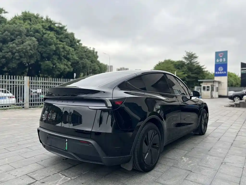 Tesla Model Y — миниатюра 8