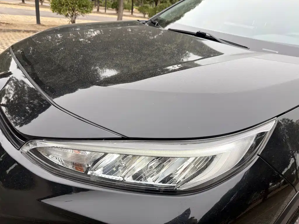 TOYOTA WEILANDA NEW ENERGY