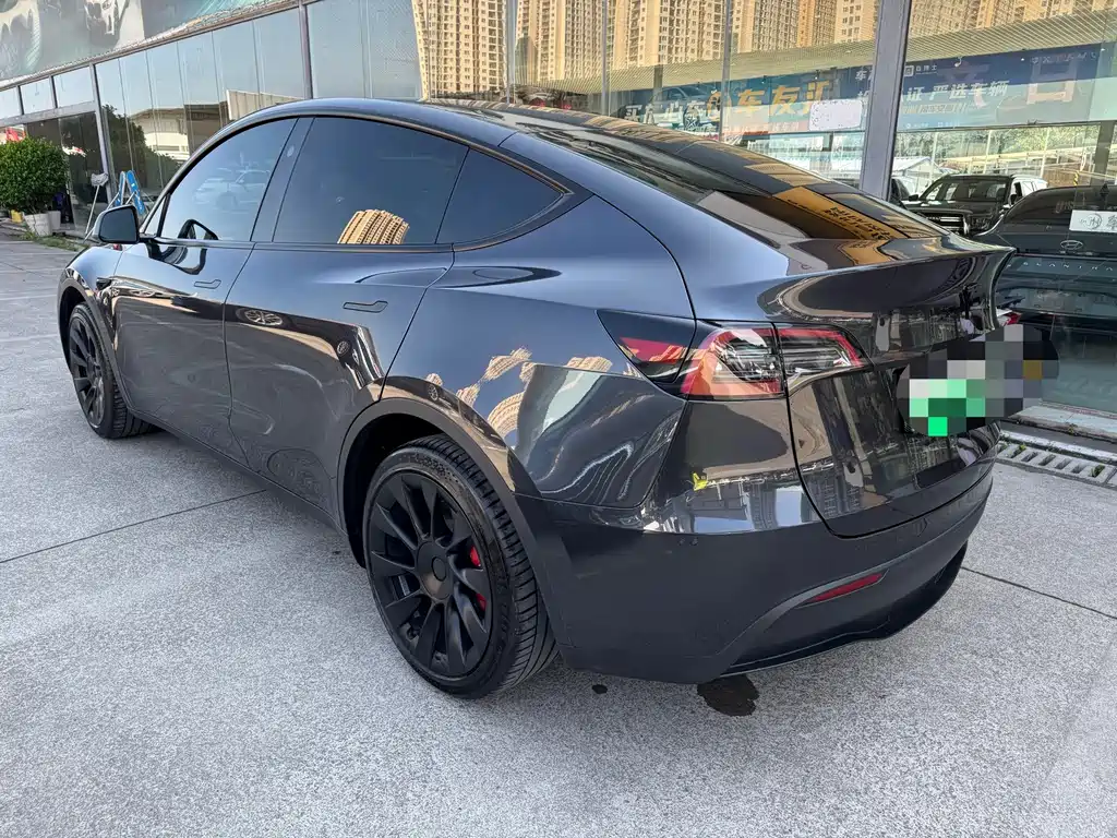 Tesla Model Y — миниатюра 9