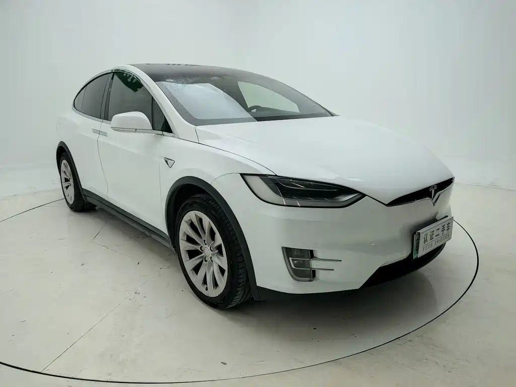 Tesla Model X — миниатюра 3