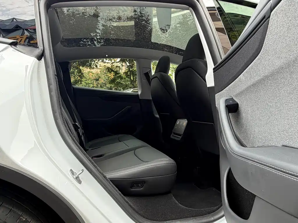 Tesla Model Y — миниатюра 8