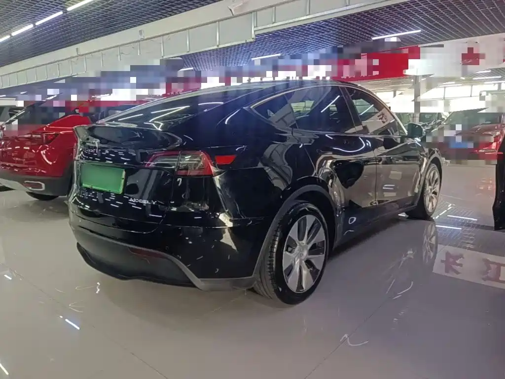 Tesla Model Y — миниатюра 7