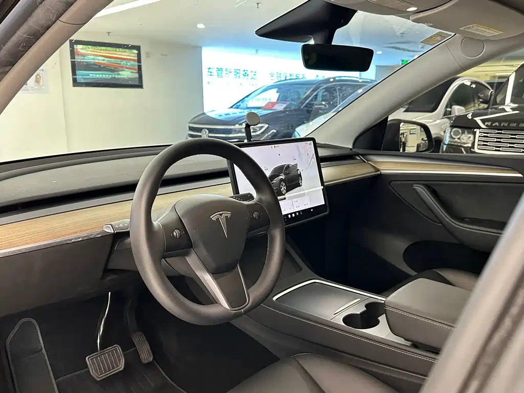 Tesla Model Y — миниатюра 10