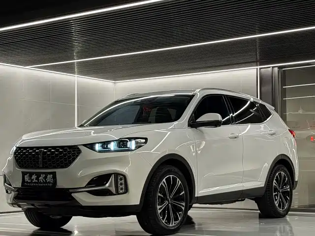 2020 Wey VV6