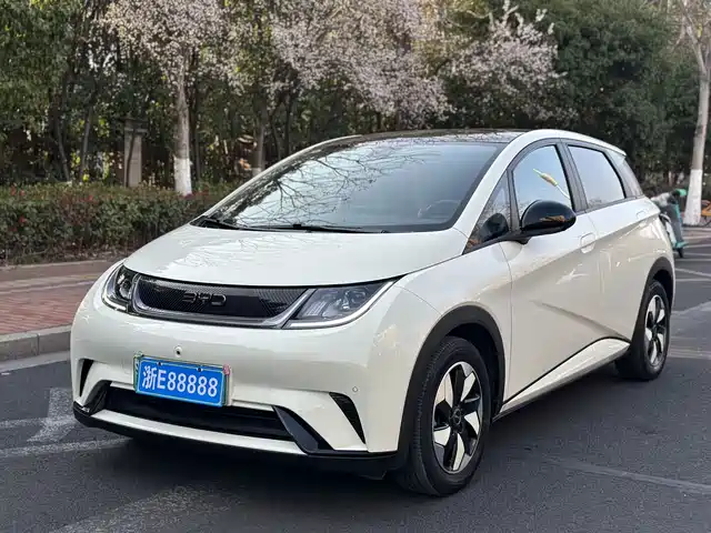 BYD DOLPHIN 2024