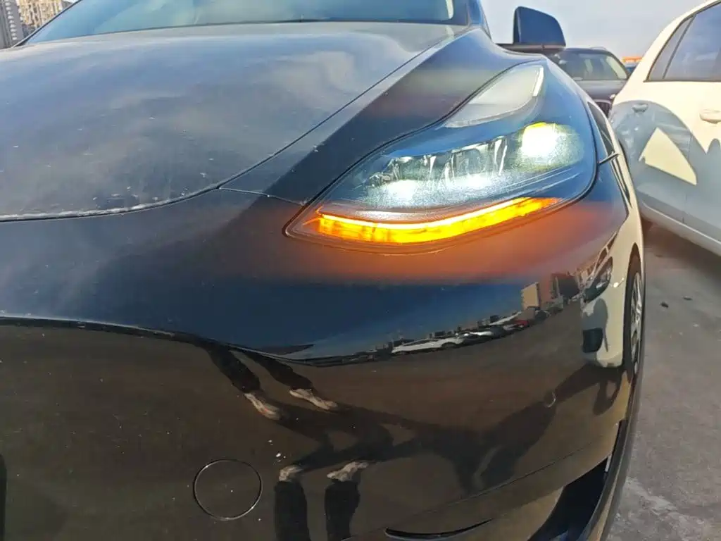 Tesla Model Y — миниатюра 24