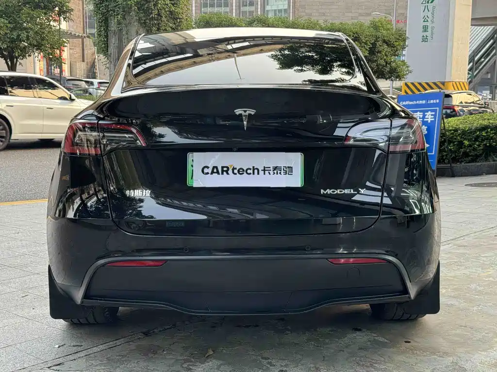 Tesla Model Y — миниатюра 3