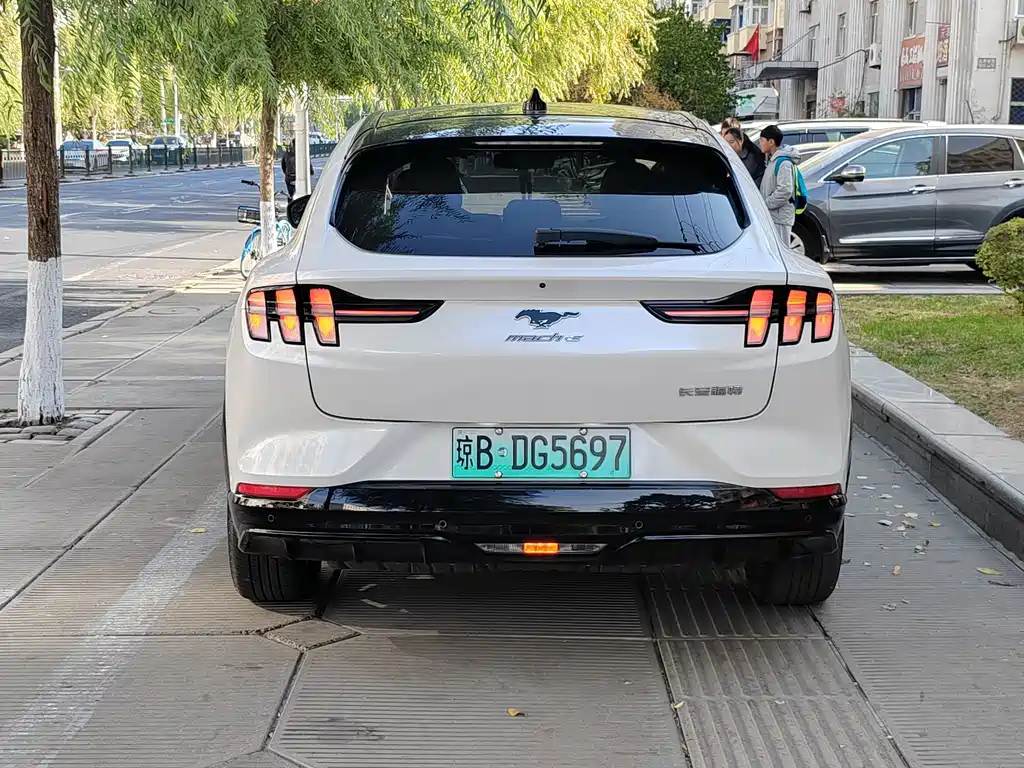Ford Mustang Mach-E — миниатюра 6