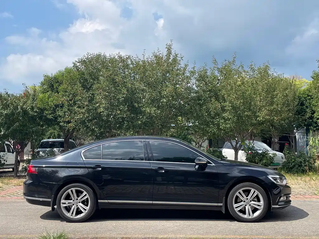Volkswagen Magotan 2018 330TSI DSG Luxury