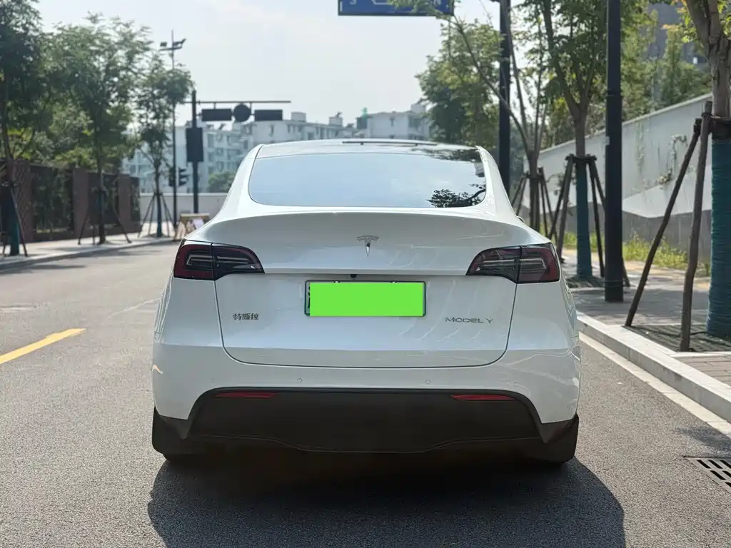 Tesla Model Y — миниатюра 10