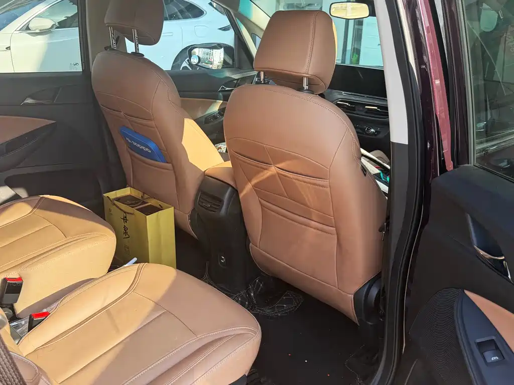 Buick GL6 — миниатюра 8