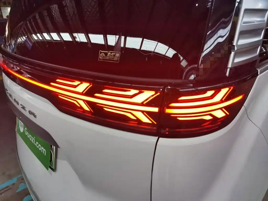 Denza Denza D9 — миниатюра 8