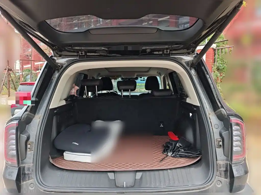 Haval Big Dog — миниатюра 15