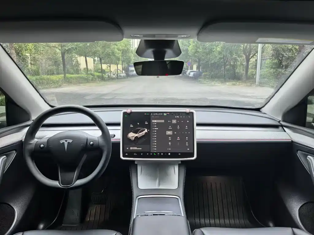 Tesla Model Y — миниатюра 5