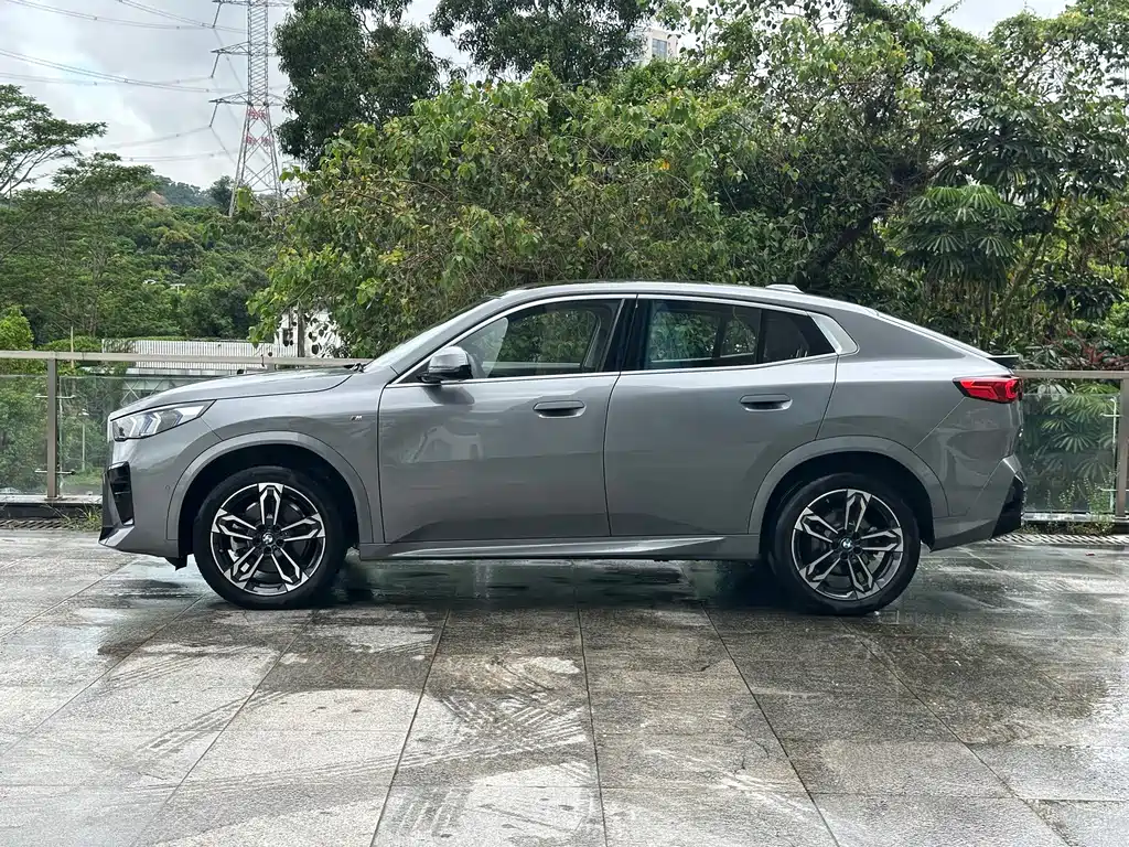 BMW X2 (Import) — миниатюра 14