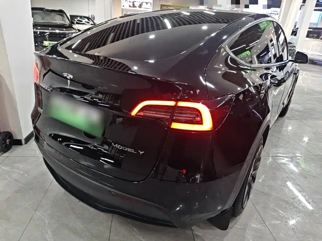 Tesla Model Y — миниатюра 7