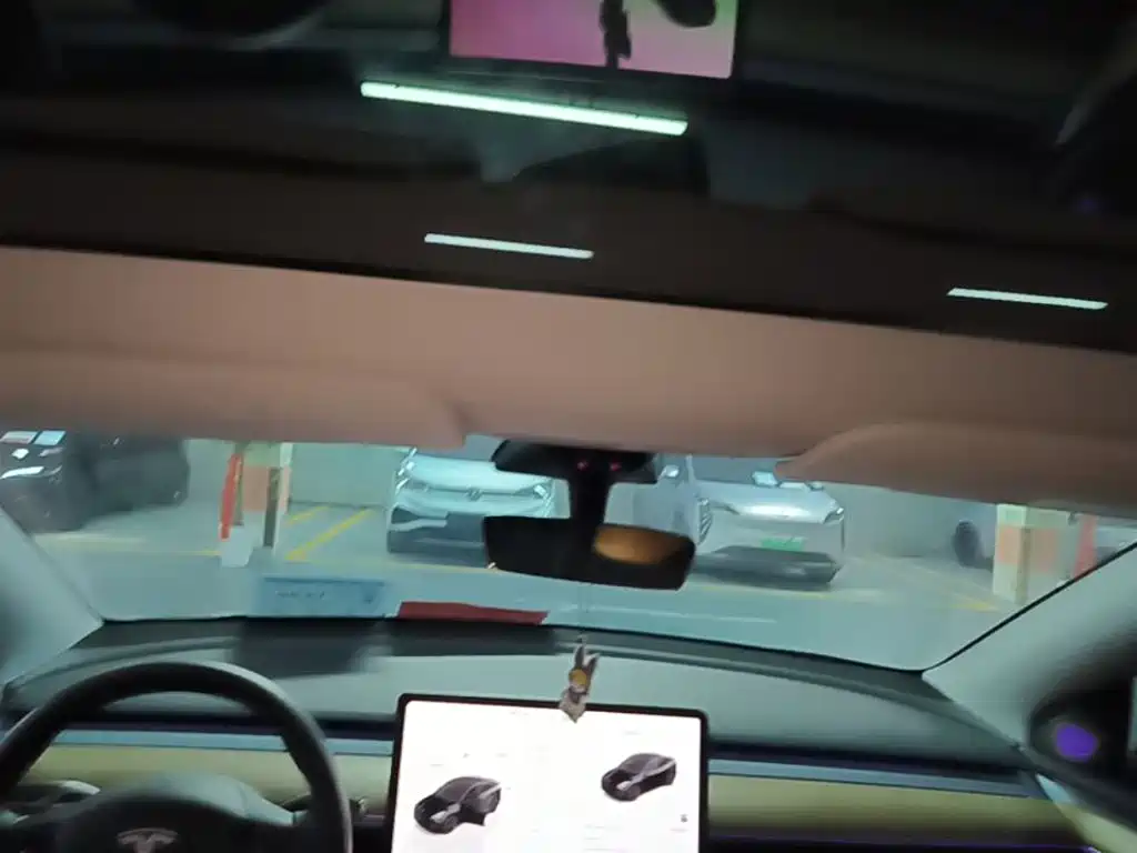 Tesla Model Y — миниатюра 18