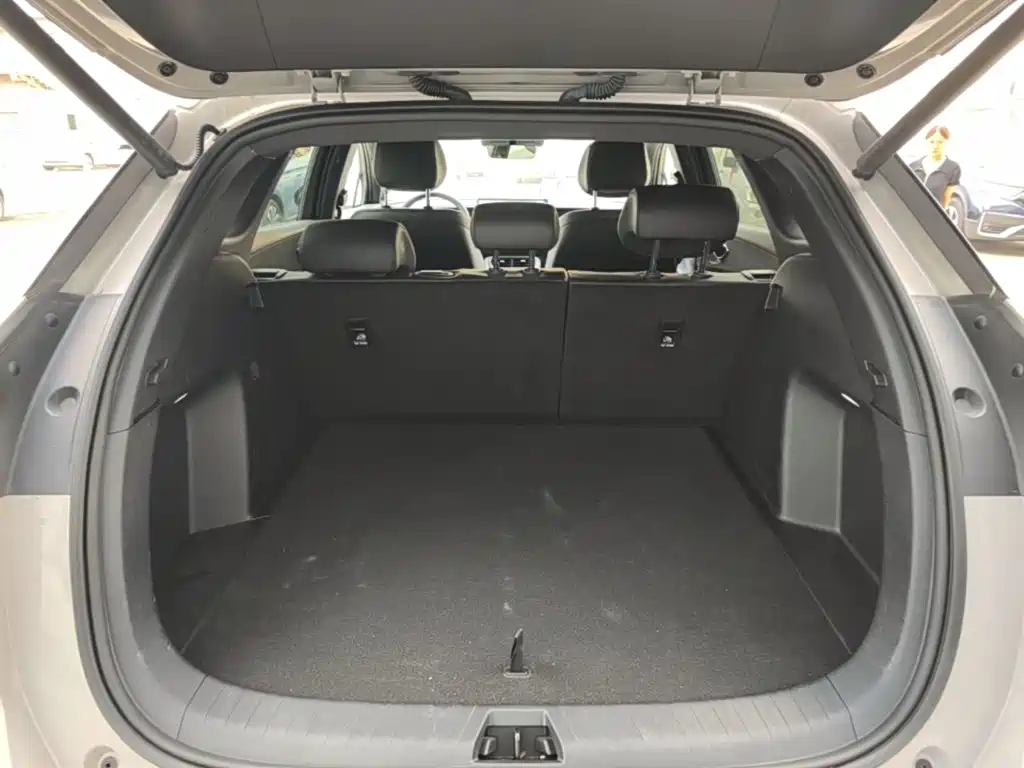 BYD Sealion 06 — миниатюра 19