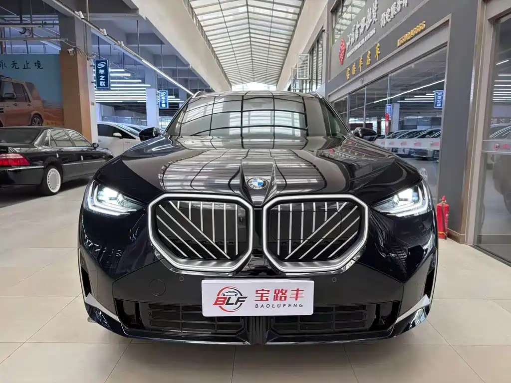 BMW X3 — миниатюра 2