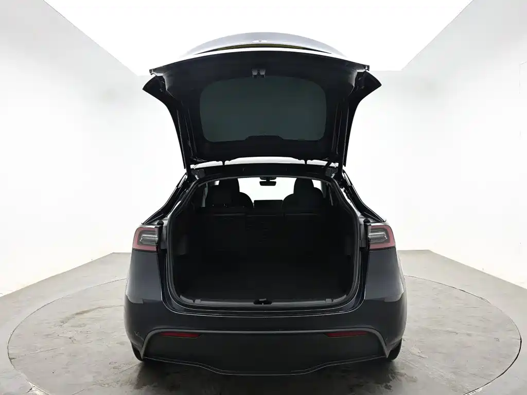 Tesla Model Y — миниатюра 8