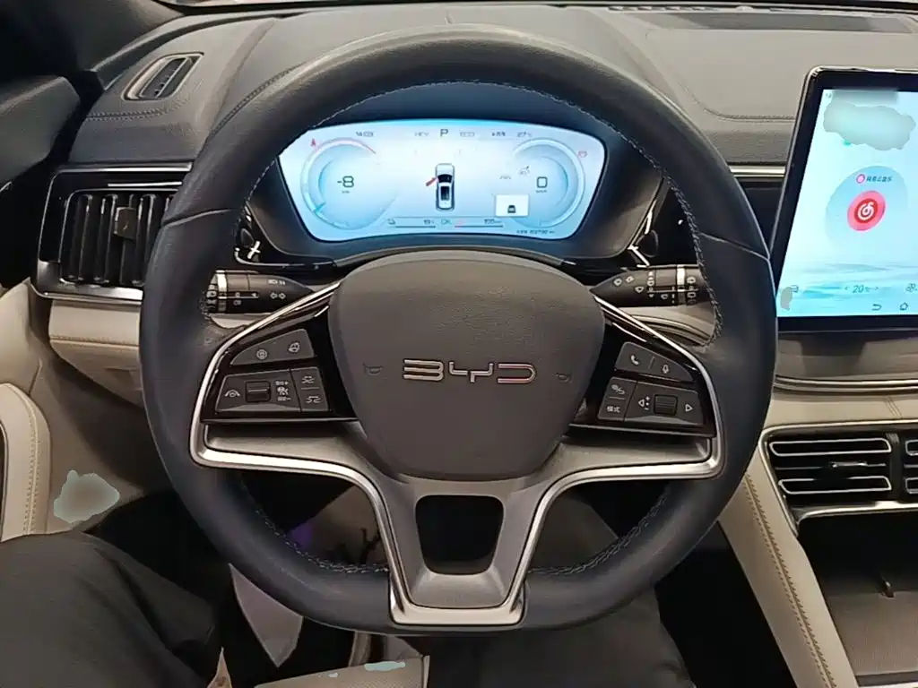 BYD PLUS New Energy — миниатюра 11