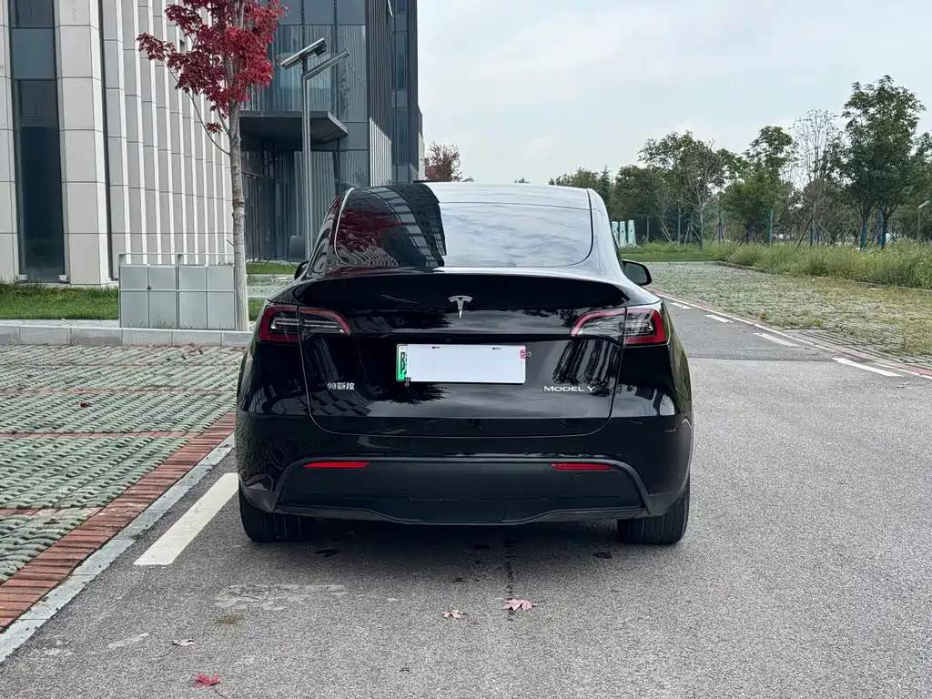 Tesla Model Y — миниатюра 5