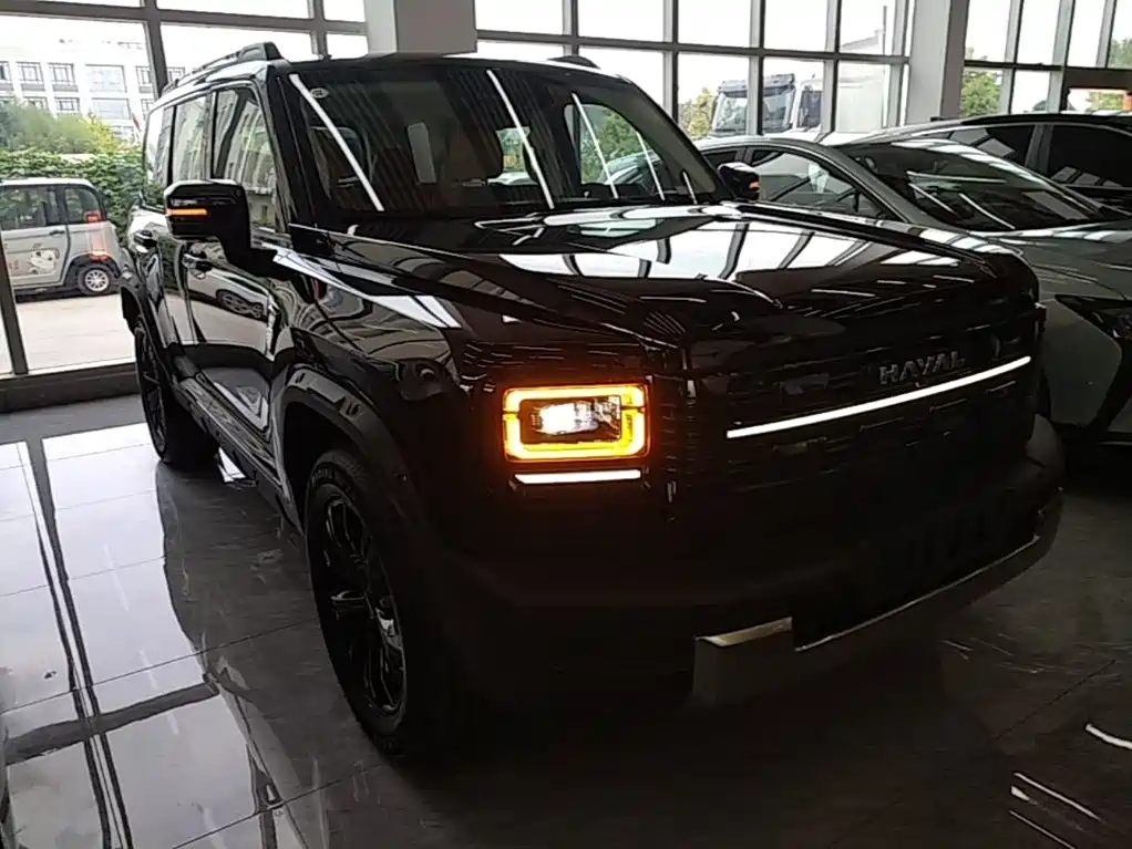Haval Menglong New Energy — миниатюра 4